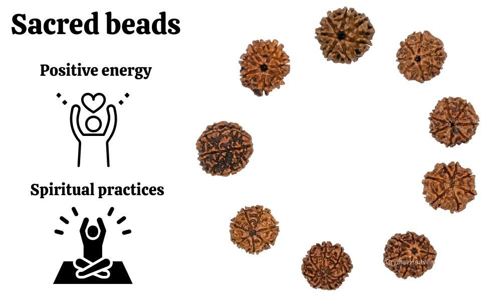 Authentic 7 Mukhi Rudraksha with Decorative Cap